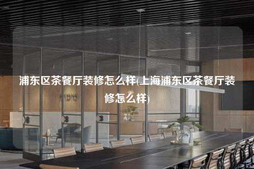 浦东区茶餐厅装修怎么样(上海浦东区茶餐厅装修怎么样)