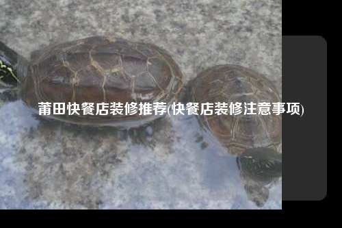 莆田快餐店装修推荐(快餐店装修注意事项)