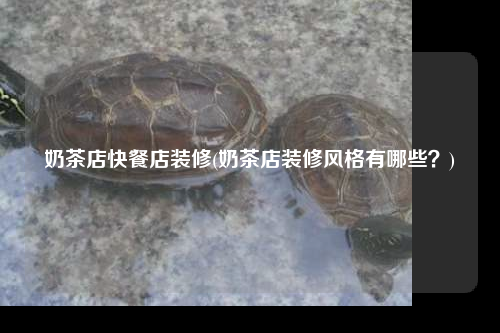 奶茶店快餐店装修(奶茶店装修风格有哪些?)