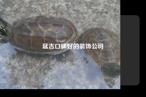 延吉口碑好的装饰公司