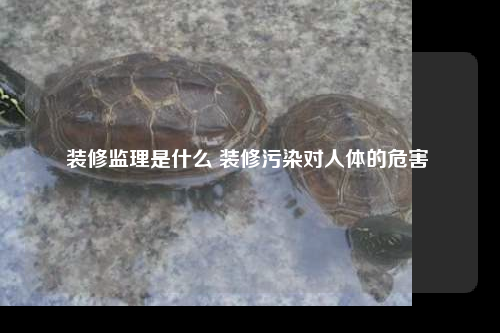 装修监理是什么 装修污染对人体的危害