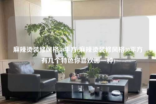 麻辣烫装修风格30平方(麻辣烫装修风格30平方有几个特色你喜欢哪一种)