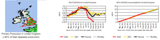 研究报告:干旱天气对全球主要农产品的影响