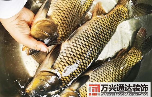 属羊办公室风水座位图属羊领导办公室风水座位图