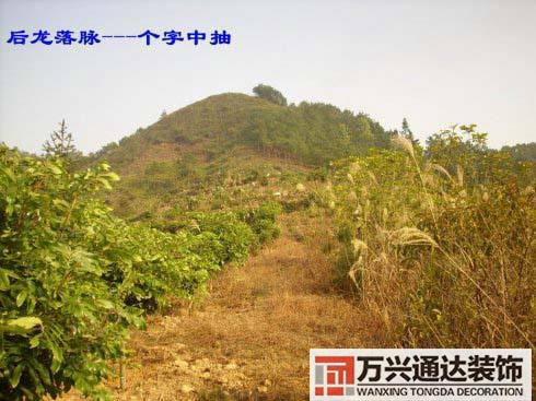 风水世家358风水世家366