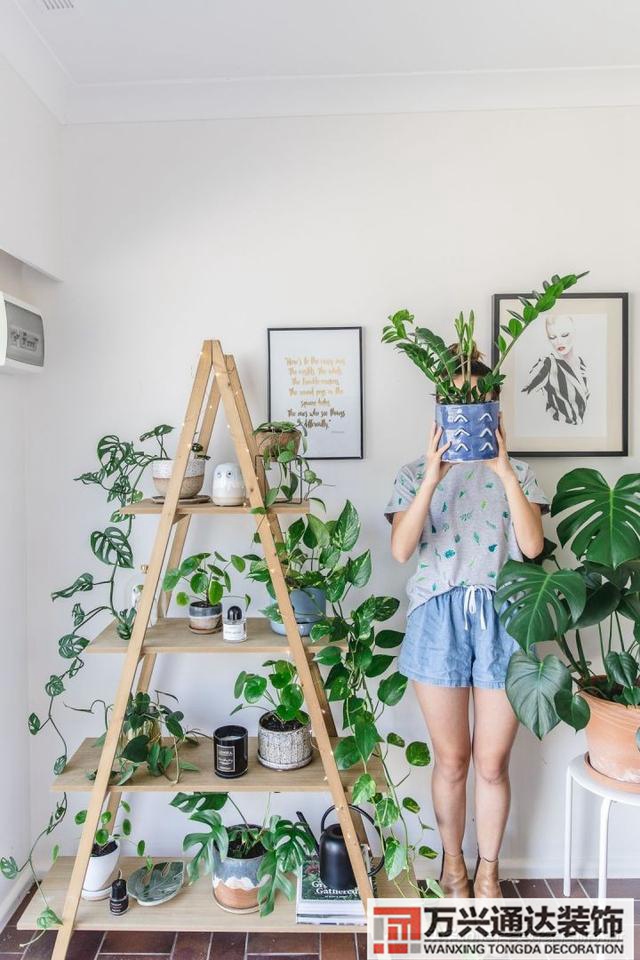 装修绿植装修绿植墙