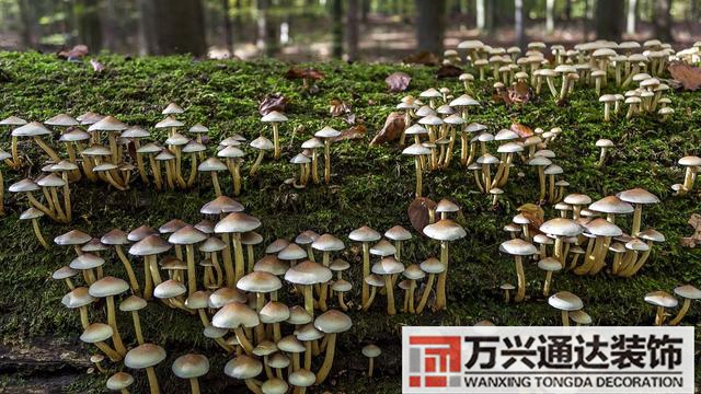 云南风水宝地云南风水宝地分享