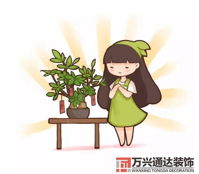 长寿花风水家里适合养长寿花风水
