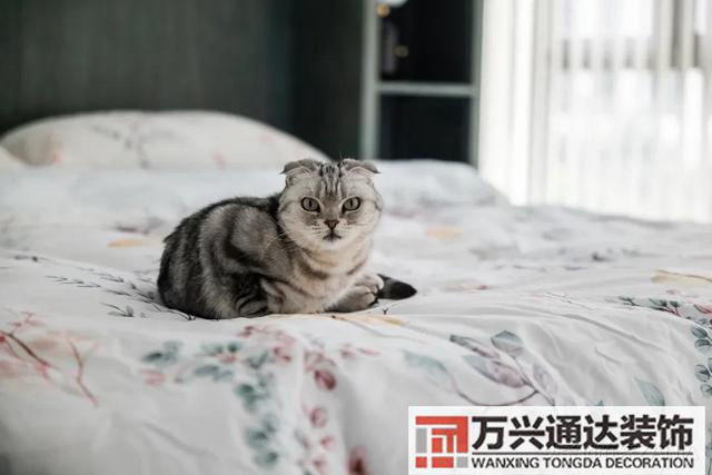 徐汇装修徐汇装修垃圾中标单位2021