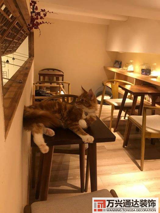 徐汇区连锁店铺装修上海徐汇区写字楼装修